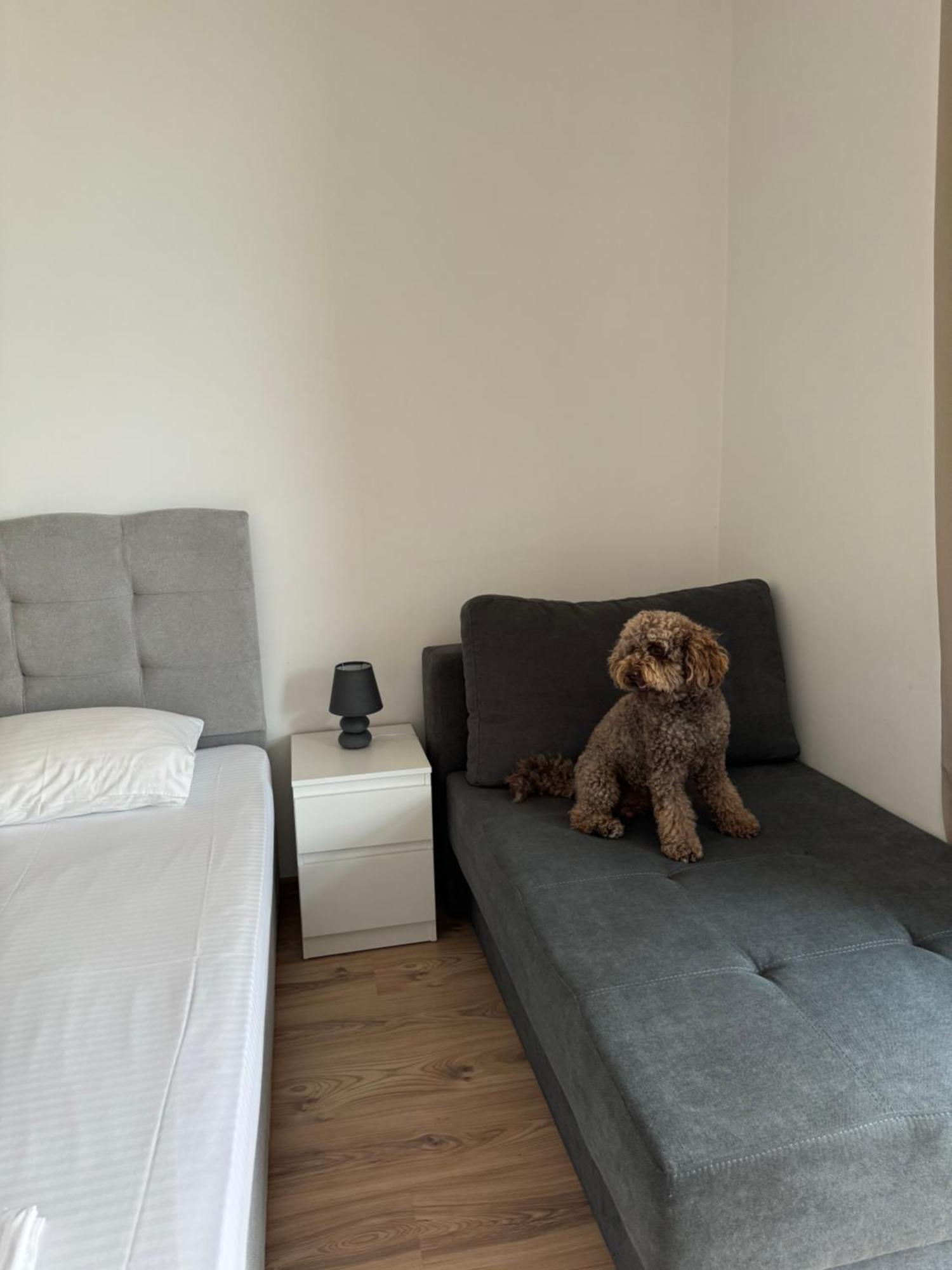Апартаменти за гости Екатерина guest apartments Ekaterina Burgas Екстер'єр фото